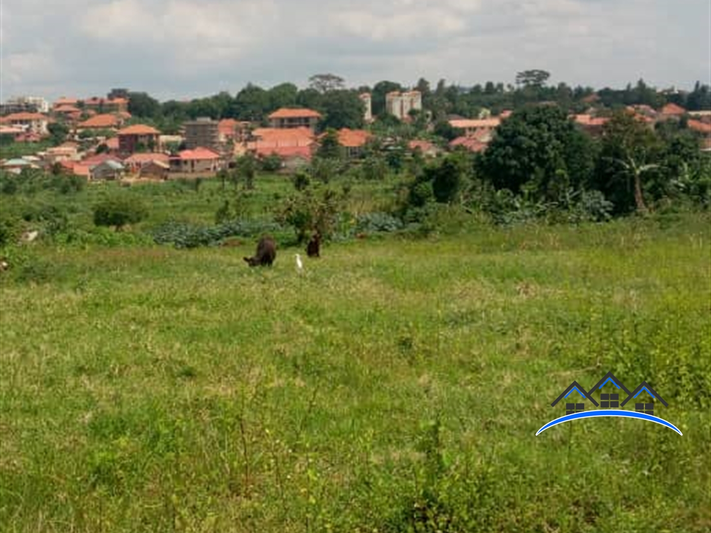 Residential Land for sale in Najjera Wakiso