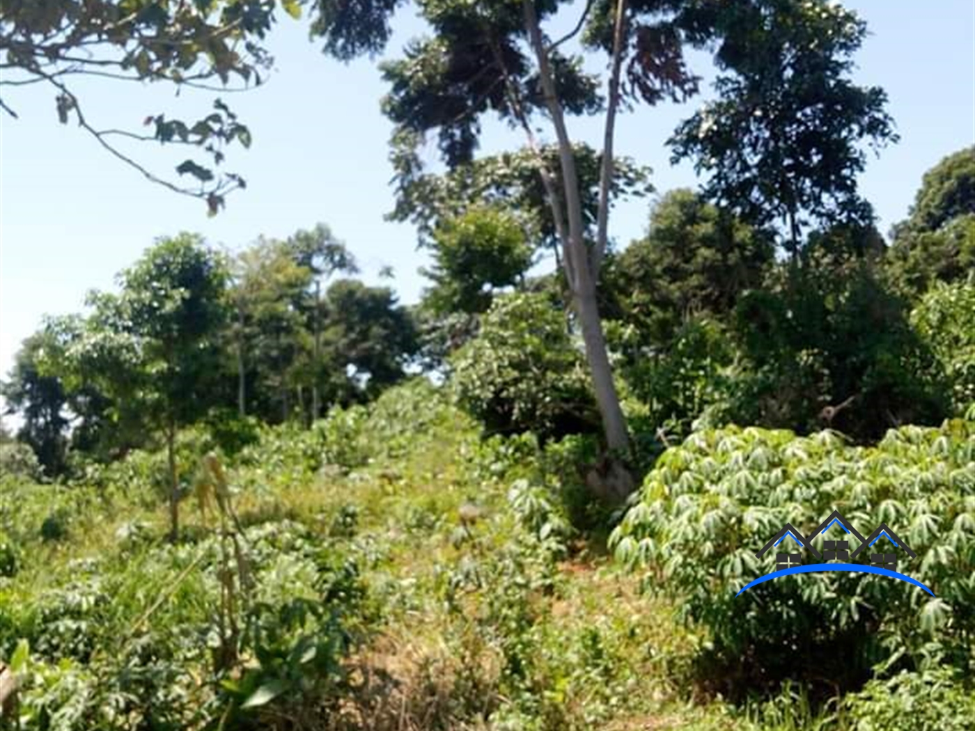 Agricultural Land for sale in Nkokonjeru Mukono