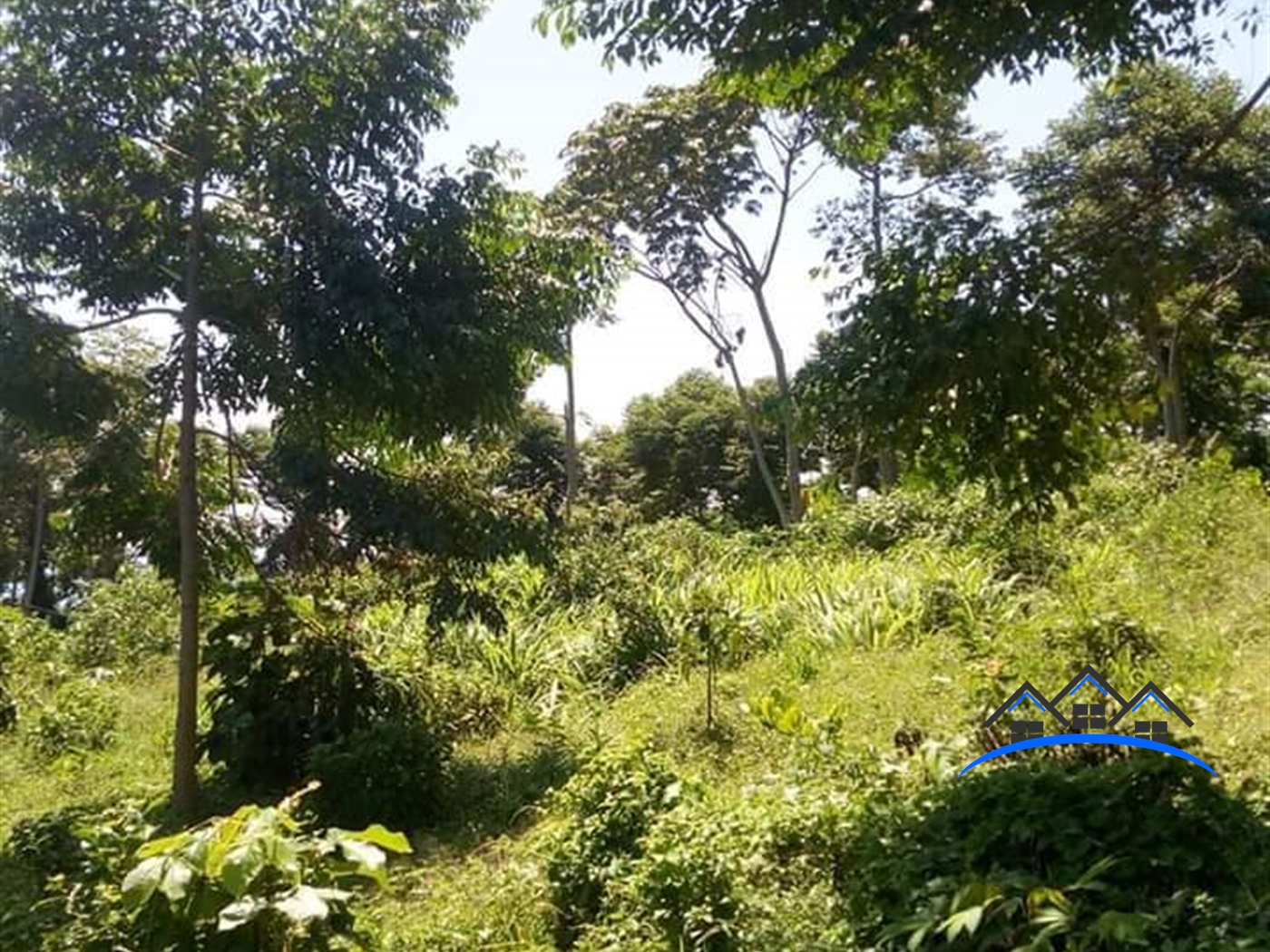 Agricultural Land for sale in Nkokonjeru Mukono