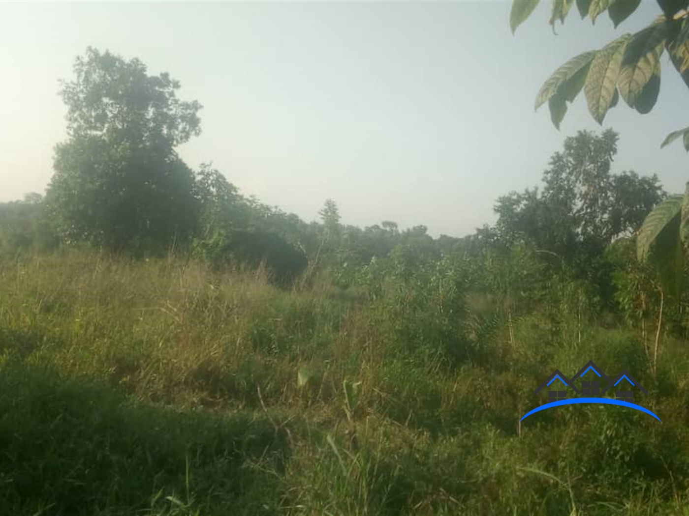 Agricultural Land for sale in Kalule Luweero