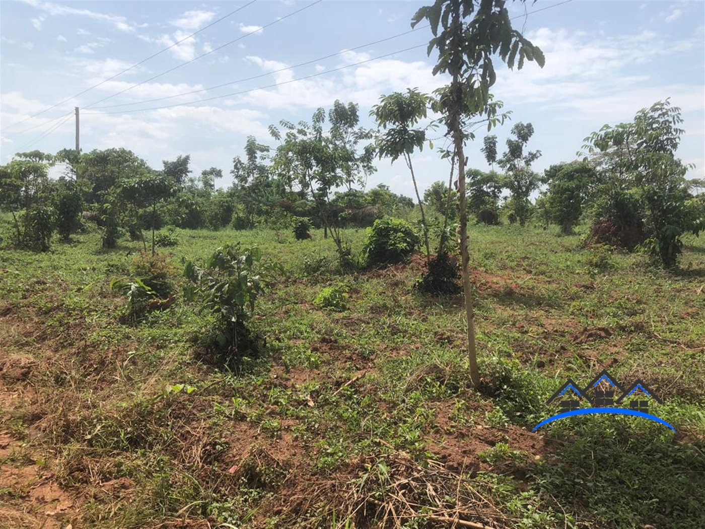 Agricultural Land for sale in Busiika Luweero