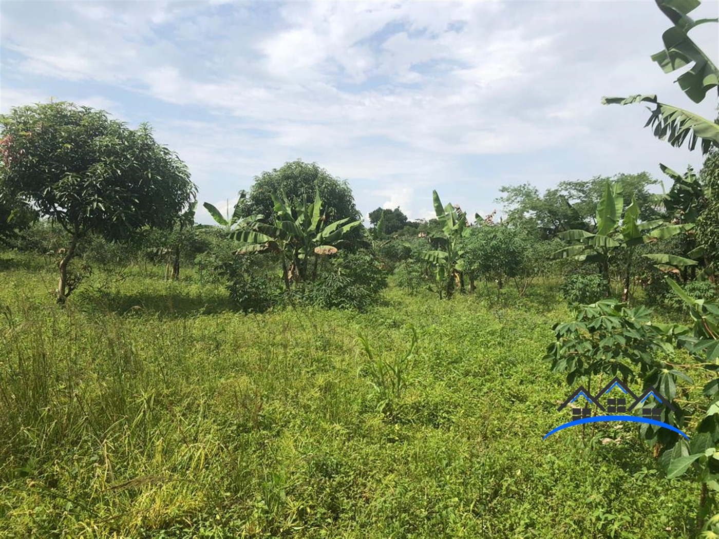 Agricultural Land for sale in Katikandegeya Luweero