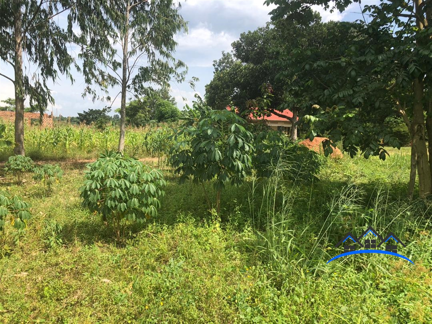 Agricultural Land for sale in Katikandegeya Luweero