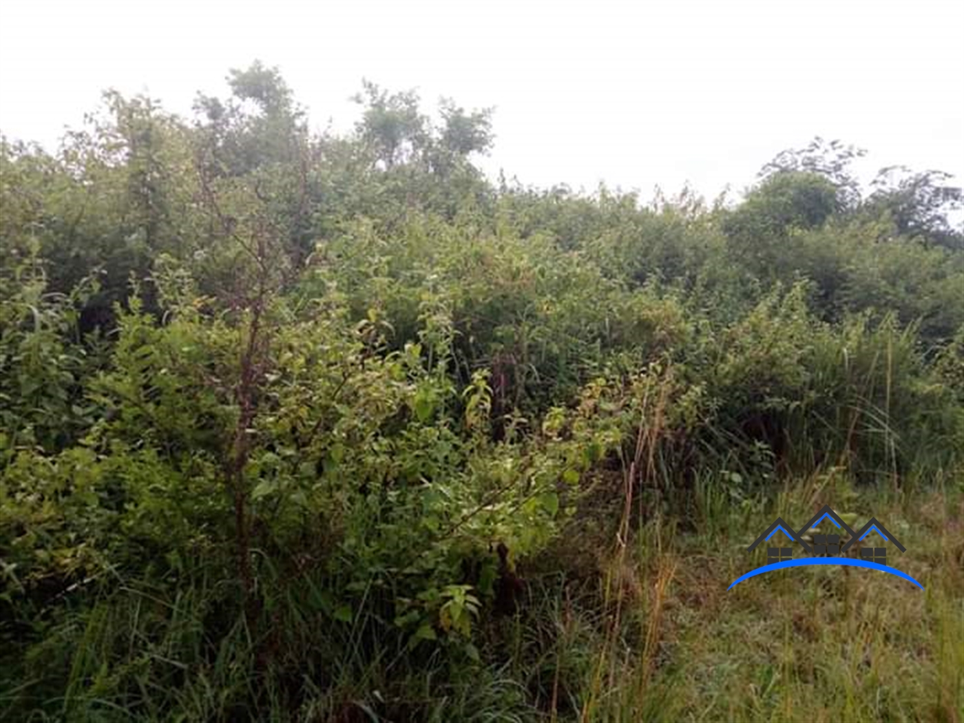 Agricultural Land for sale in Ziloobwe Luweero