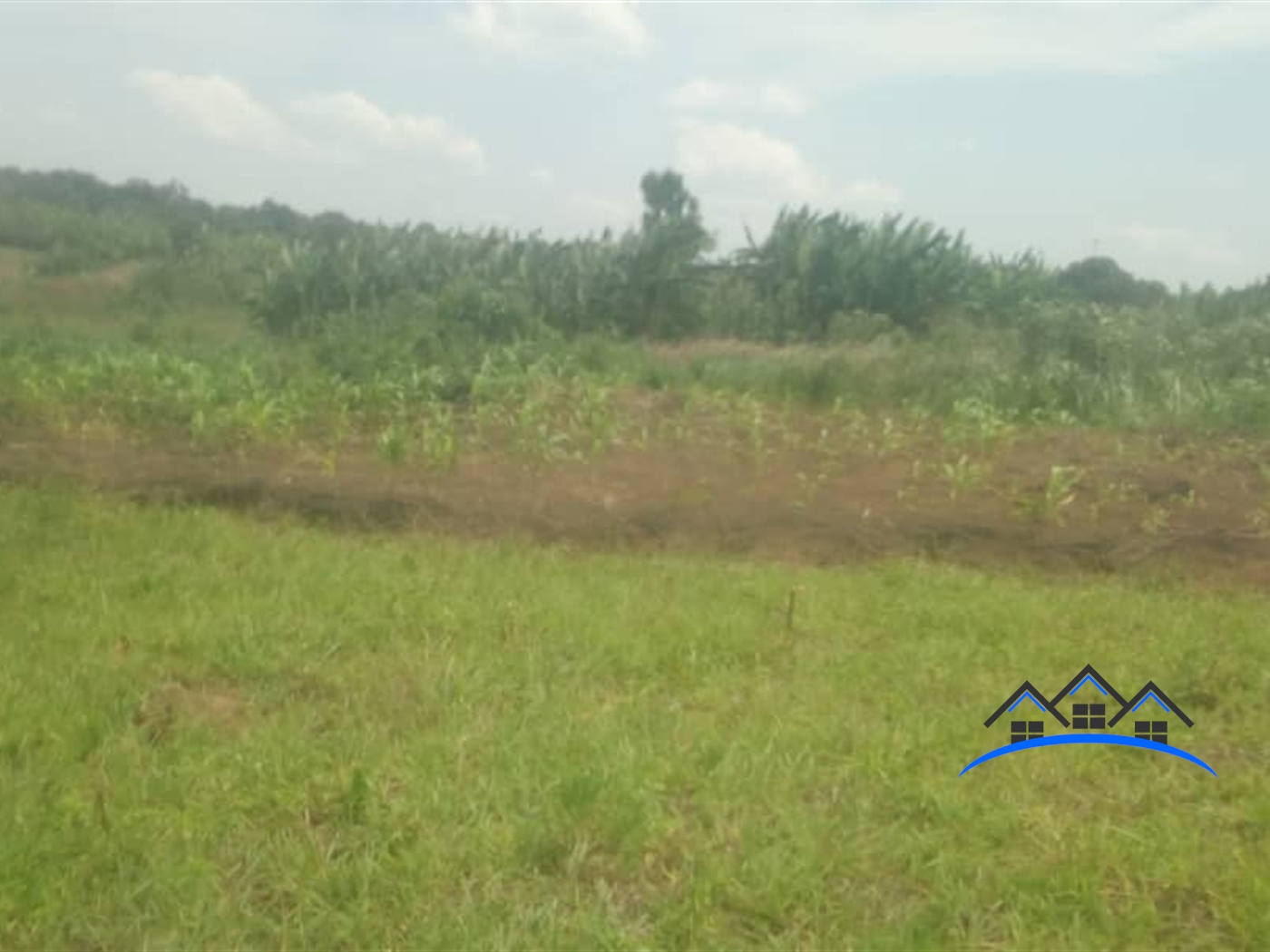 Agricultural Land for sale in Bubuubi Luweero