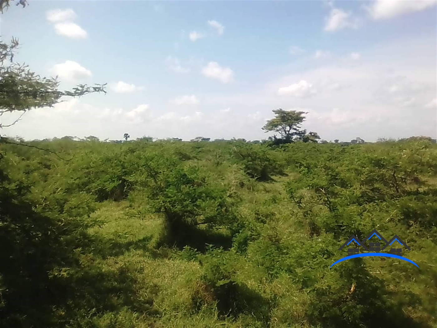 Agricultural Land for sale in Mate Mityana