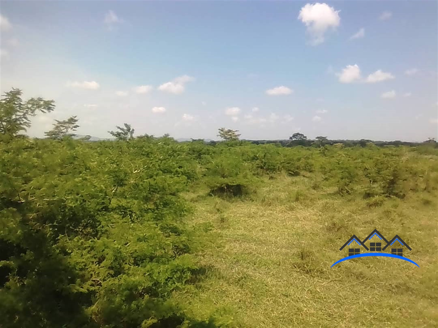 Agricultural Land for sale in Mate Mityana