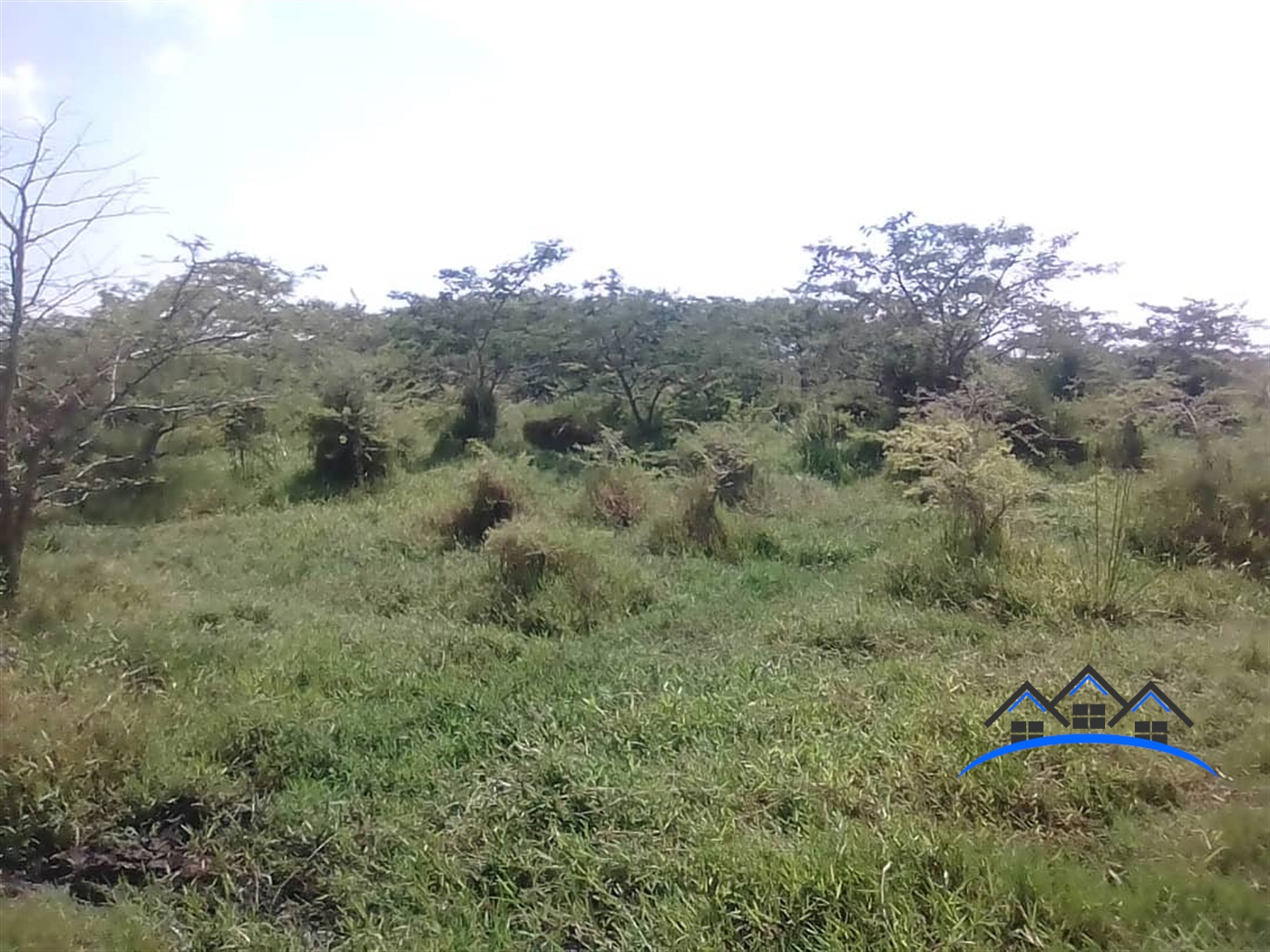 Agricultural Land for sale in Mate Mityana