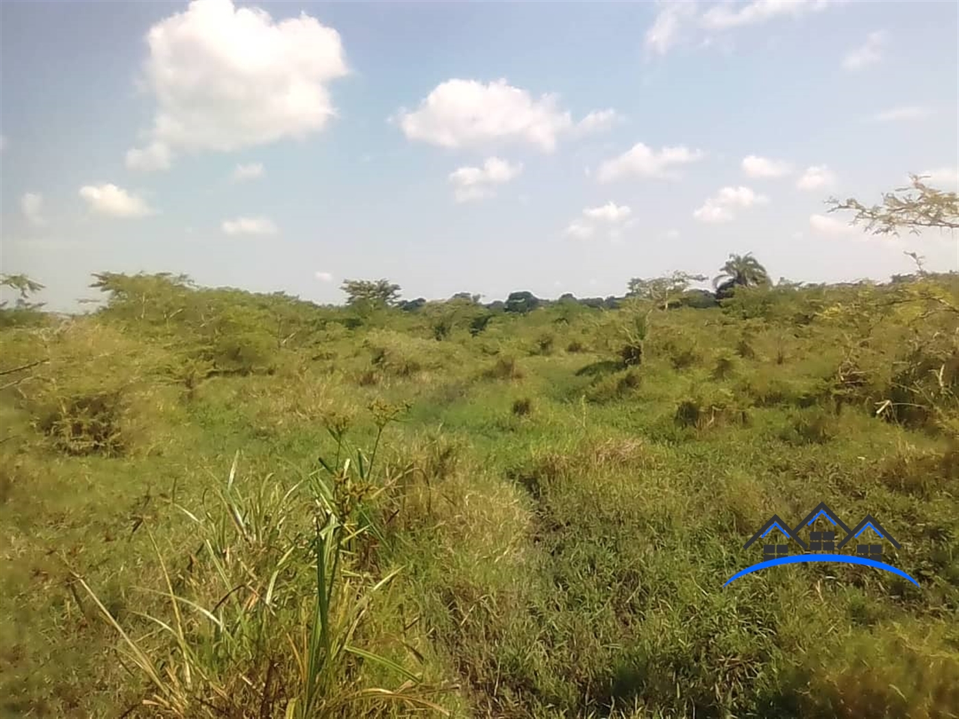 Agricultural Land for sale in Mate Mityana