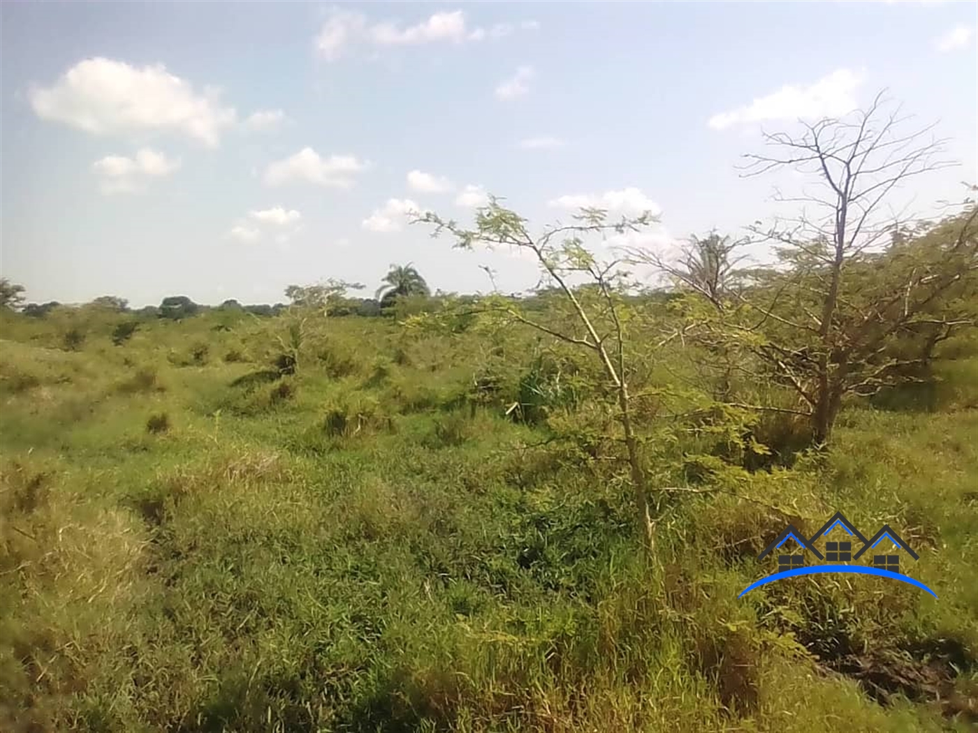 Agricultural Land for sale in Mate Mityana