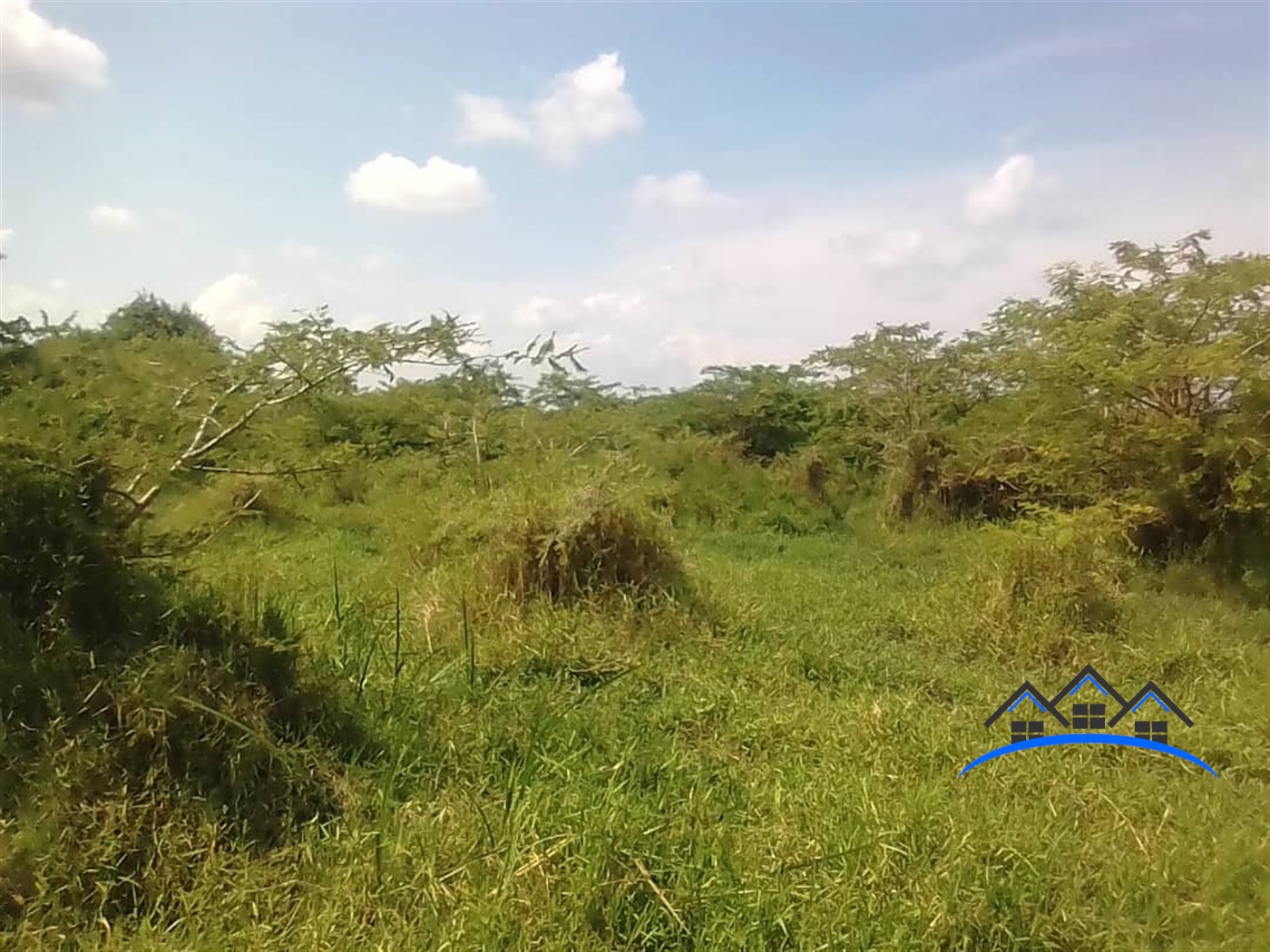 Agricultural Land for sale in Mate Mityana