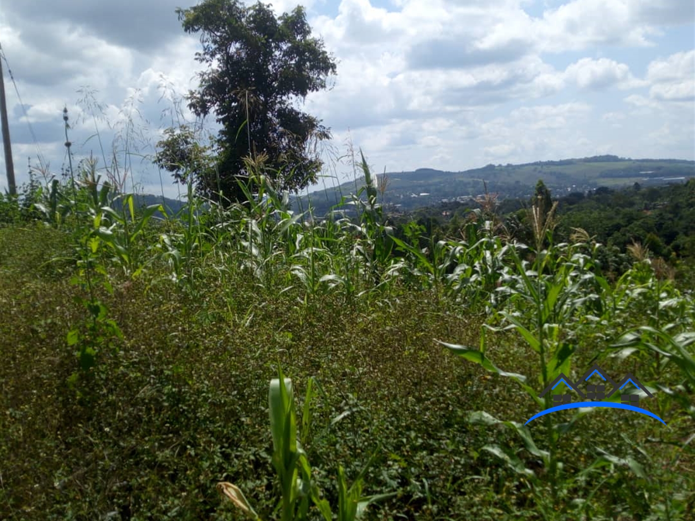 Agricultural Land for sale in Kayanja Mukono