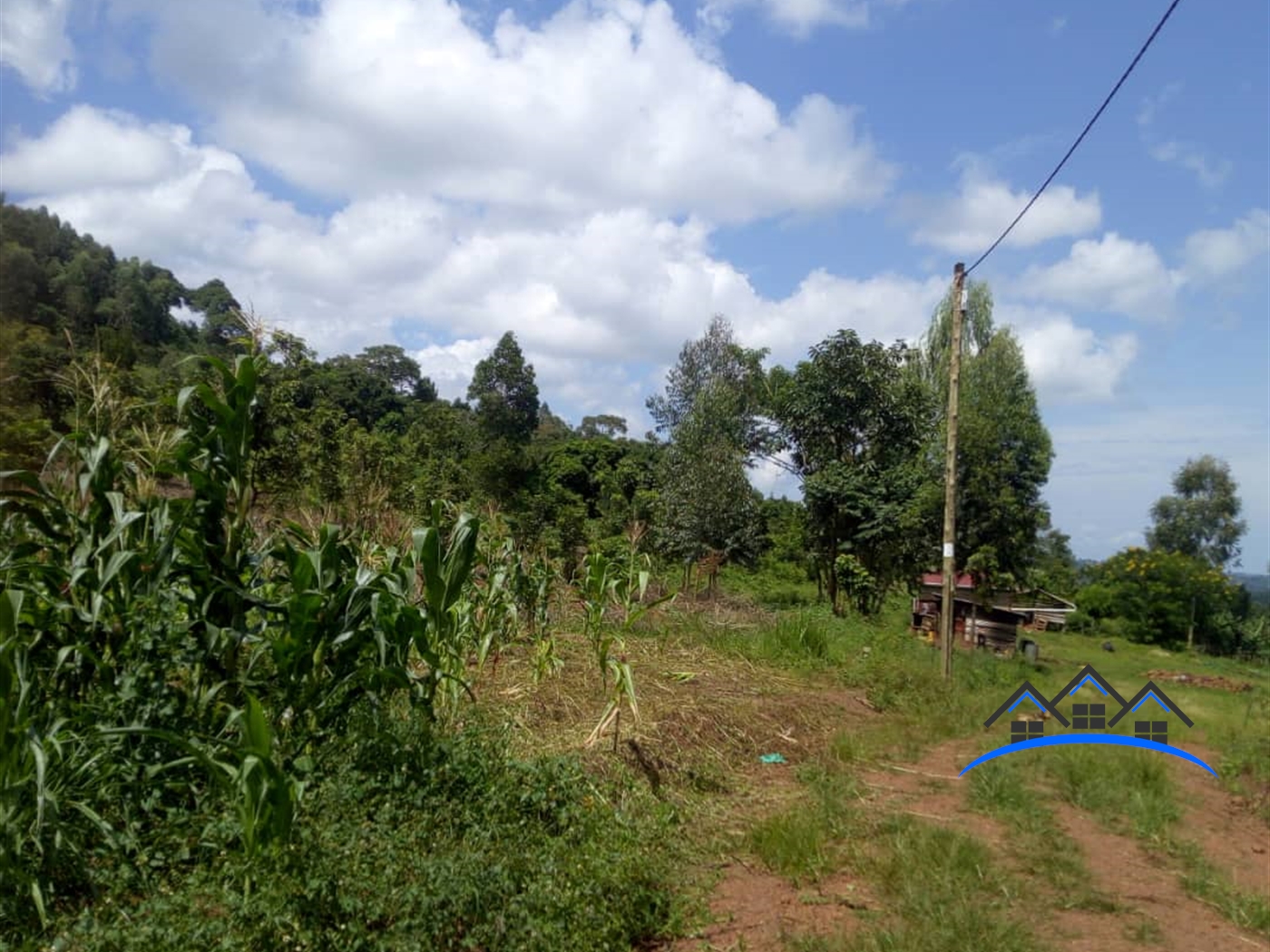 Agricultural Land for sale in Kayanja Mukono