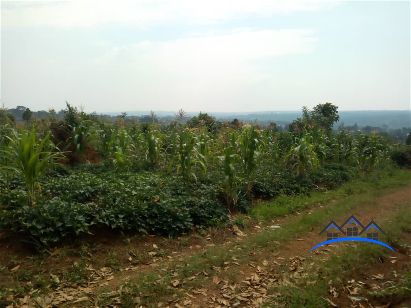 Residential Land for sale in Bukeelele Wakiso