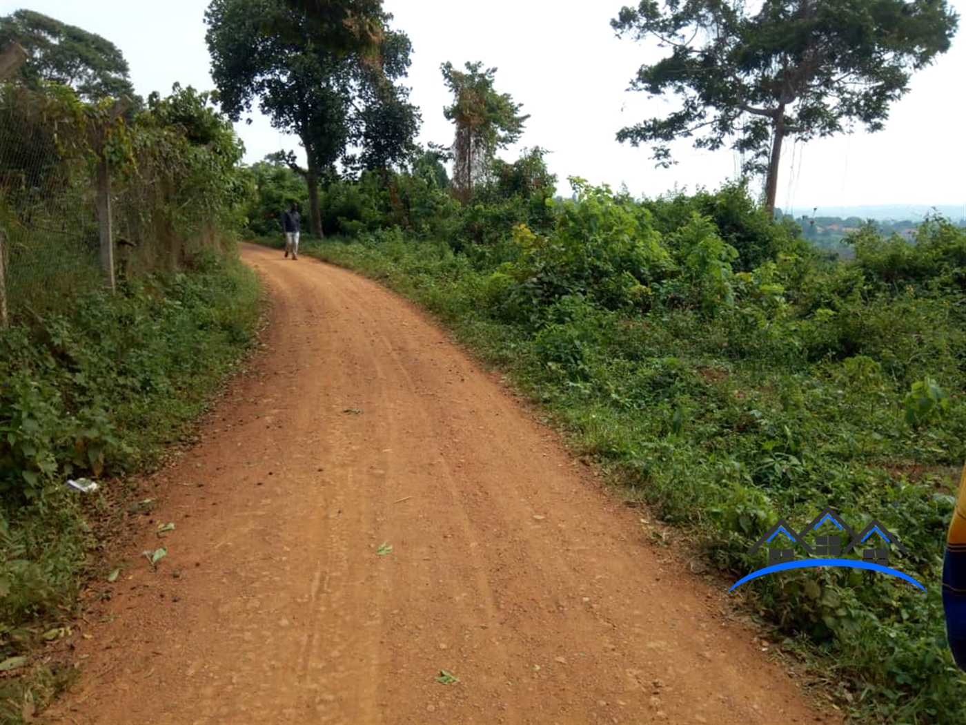 Residential Land for sale in Bukeelele Wakiso