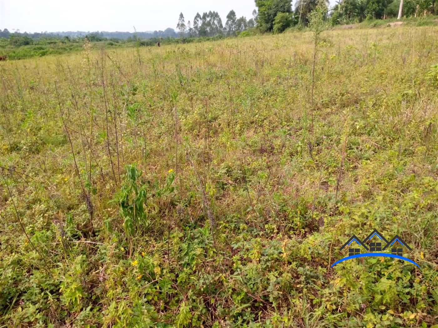 Agricultural Land for sale in Bubezi Mpigi