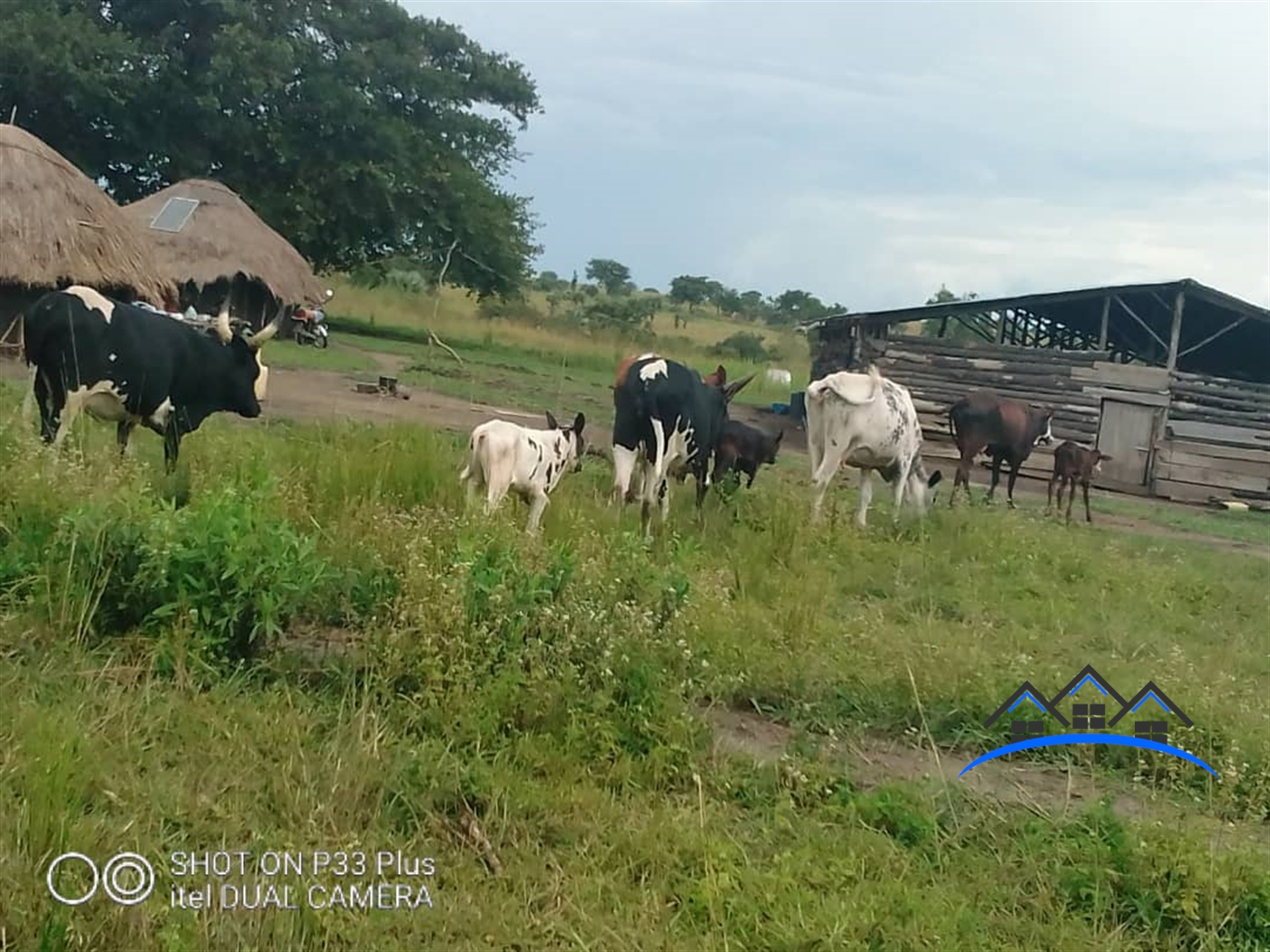 Farm for sale in Latoro Gulu