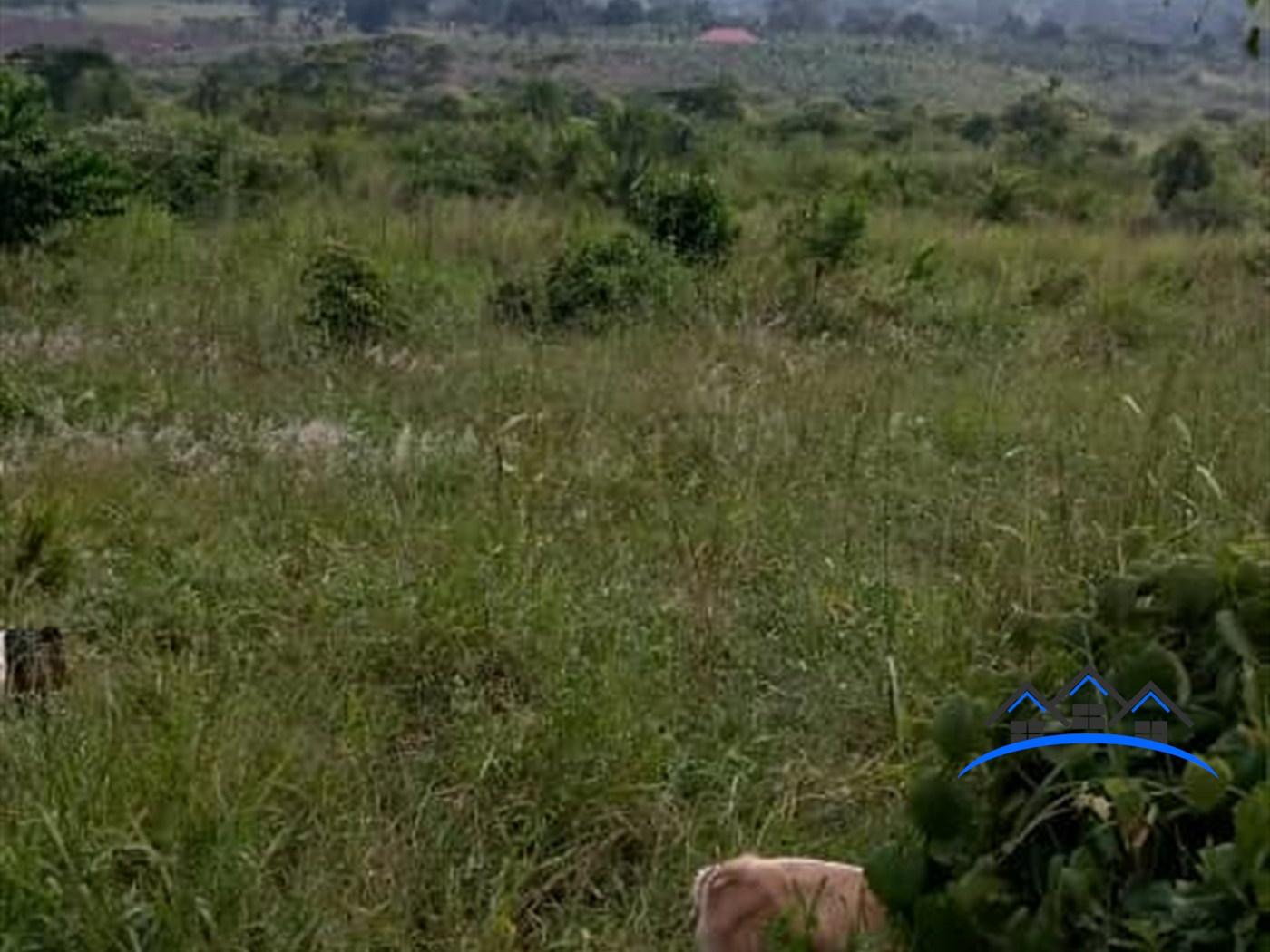 Agricultural Land for sale in Namigavu Mityana