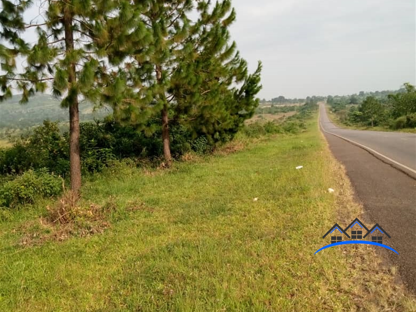 Agricultural Land for sale in Busunjju Mityana