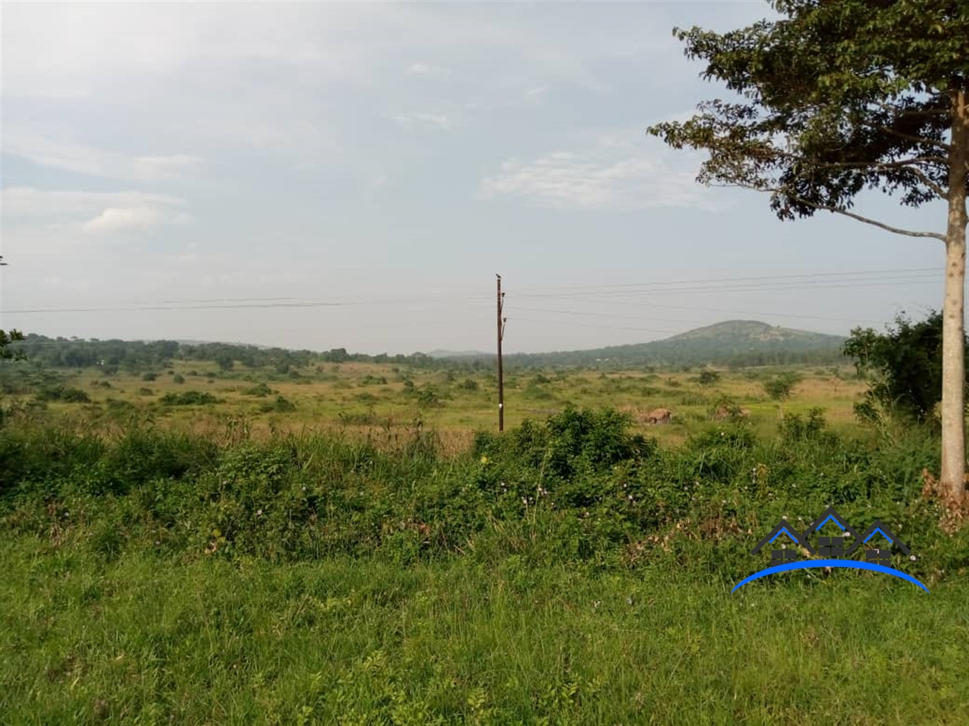 Agricultural Land for sale in Busunjju Mityana