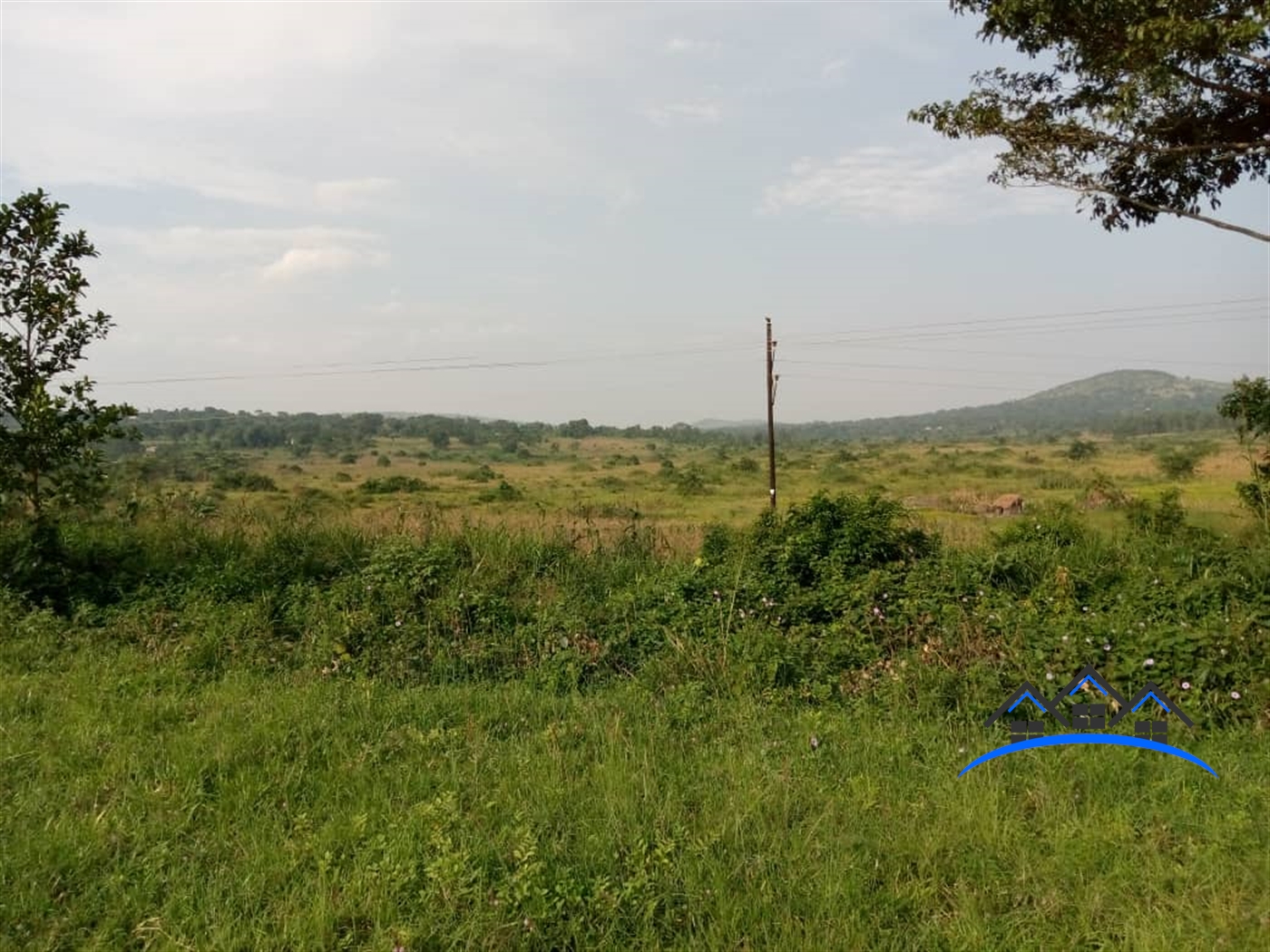 Agricultural Land for sale in Busunjju Mityana