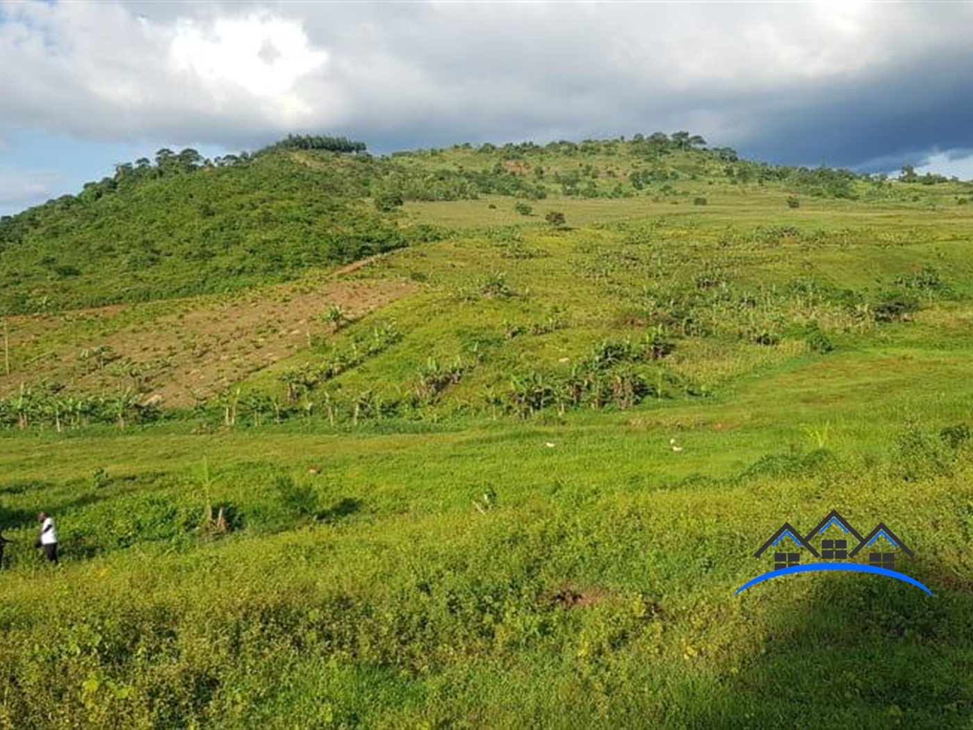 Residential Land for sale in Mbalala Mukono