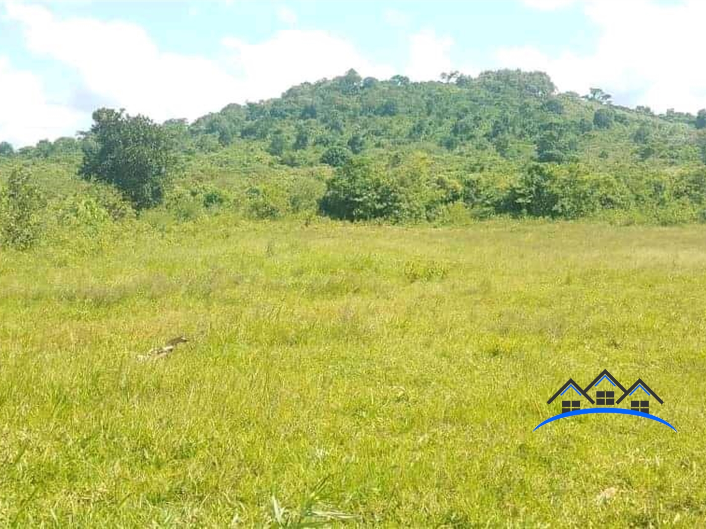 Agricultural Land for sale in Kiganda Mubende