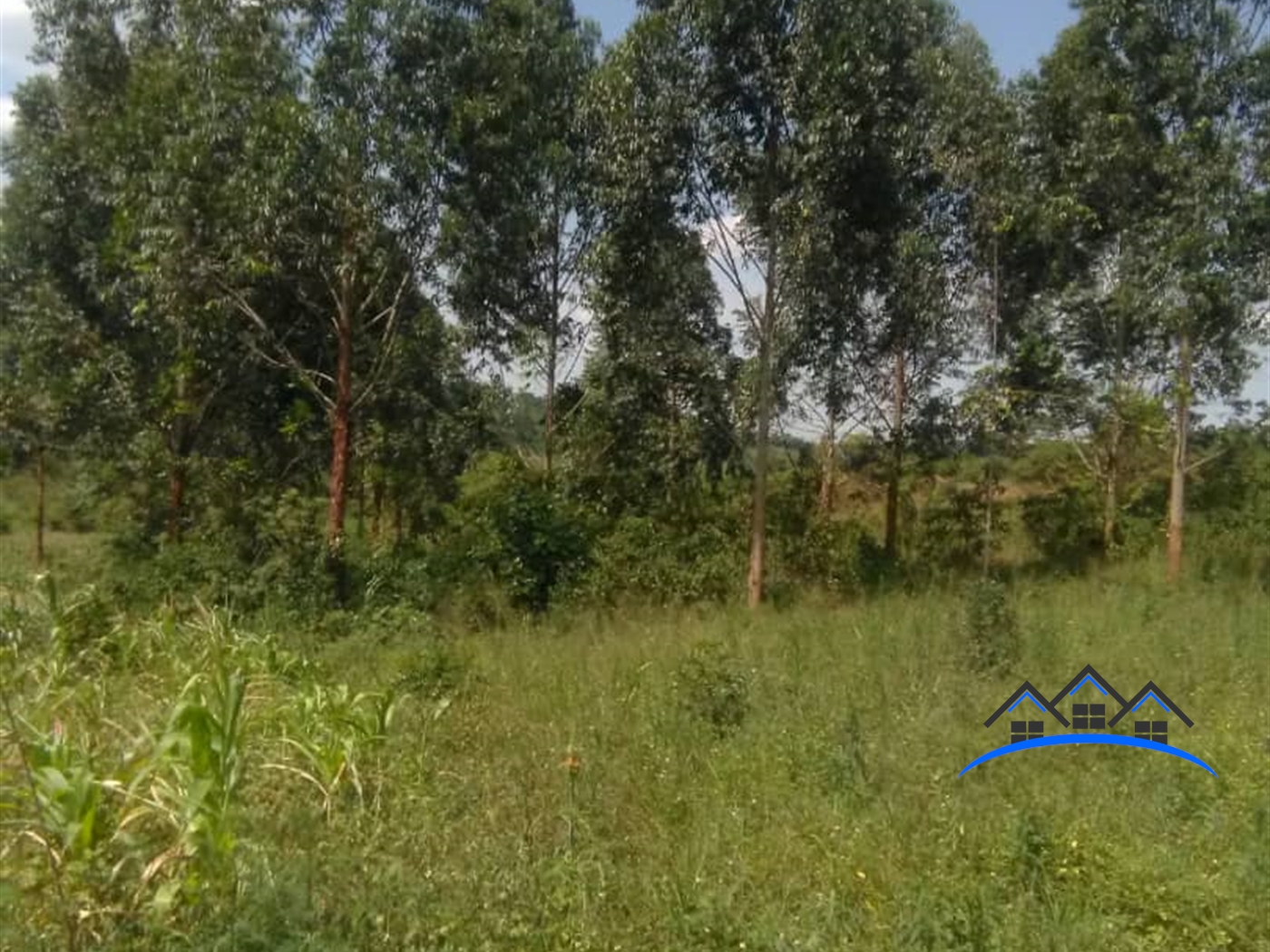 Agricultural Land for sale in Kiganda Mubende