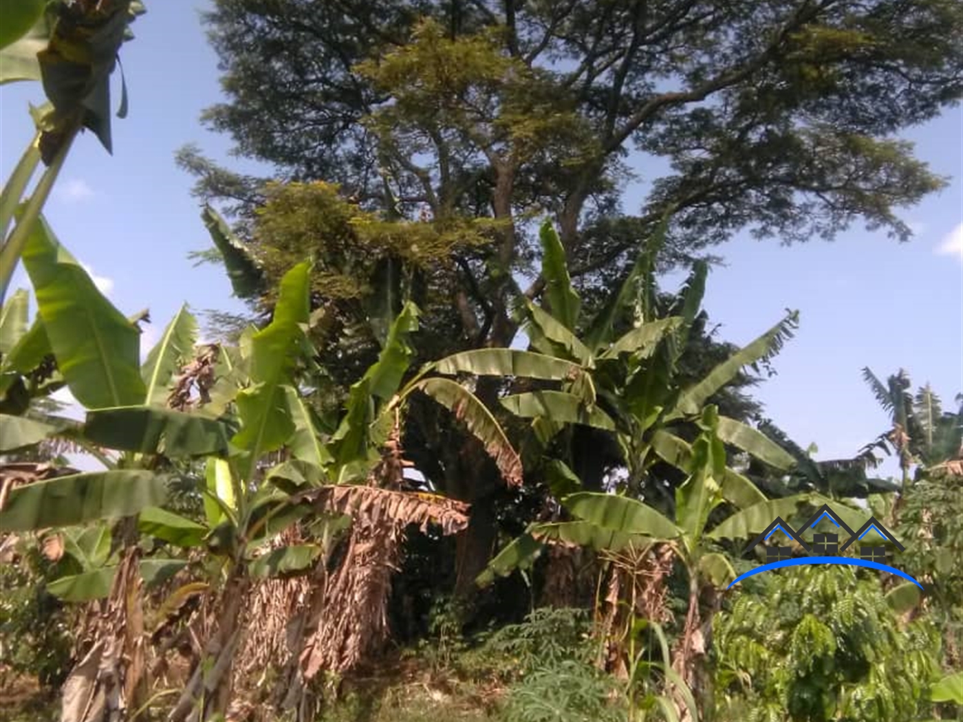 Agricultural Land for sale in Kiganda Mubende