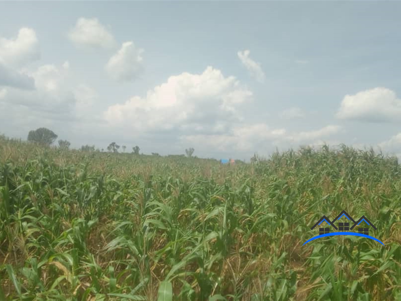 Agricultural Land for sale in Wakyato Nakaseke