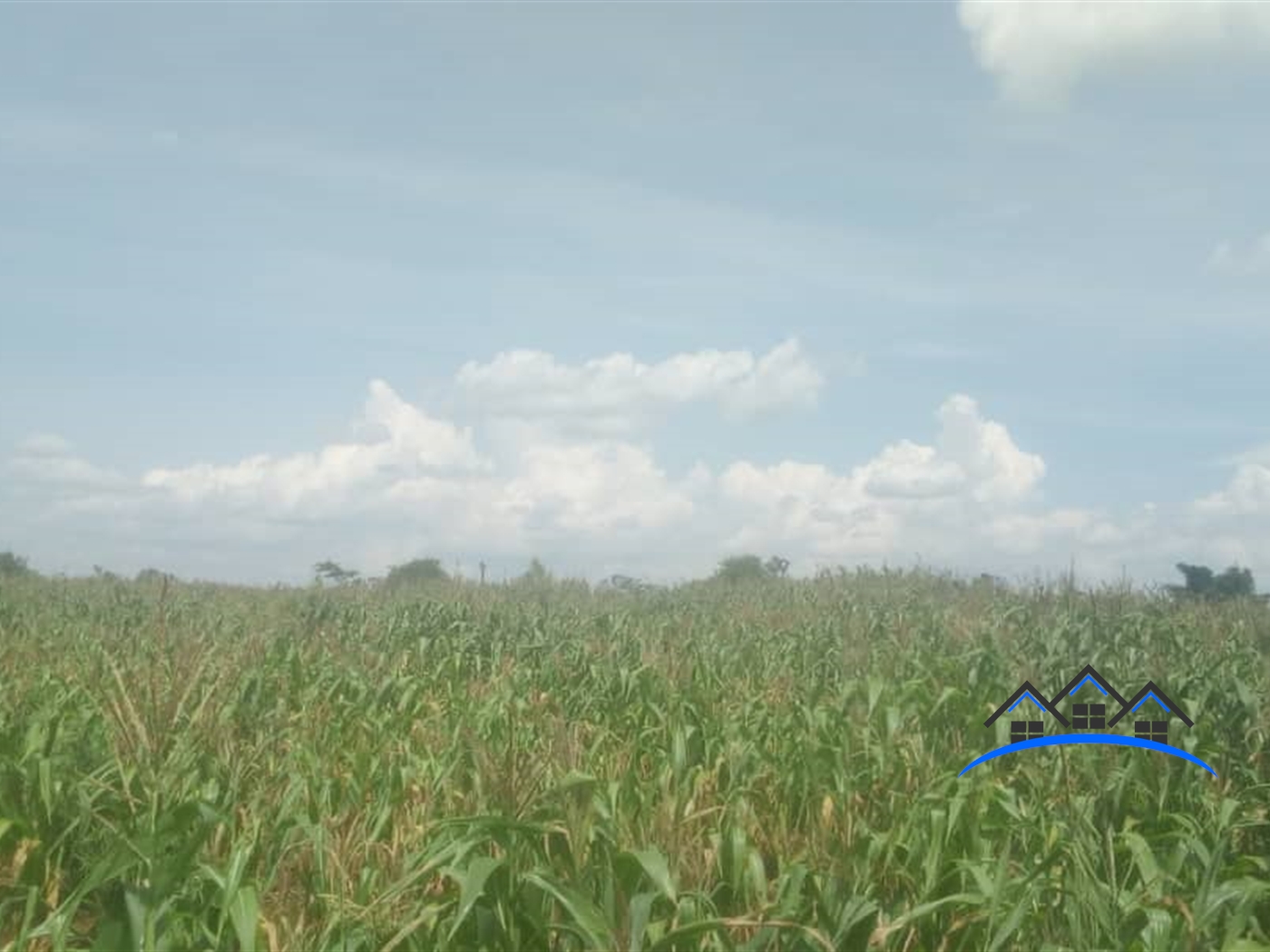 Agricultural Land for sale in Wakyato Nakaseke