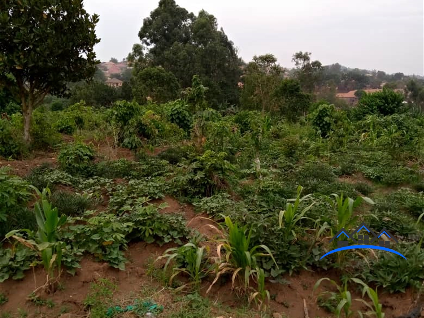 Residential Land for sale in Wakisotowncenter Wakiso