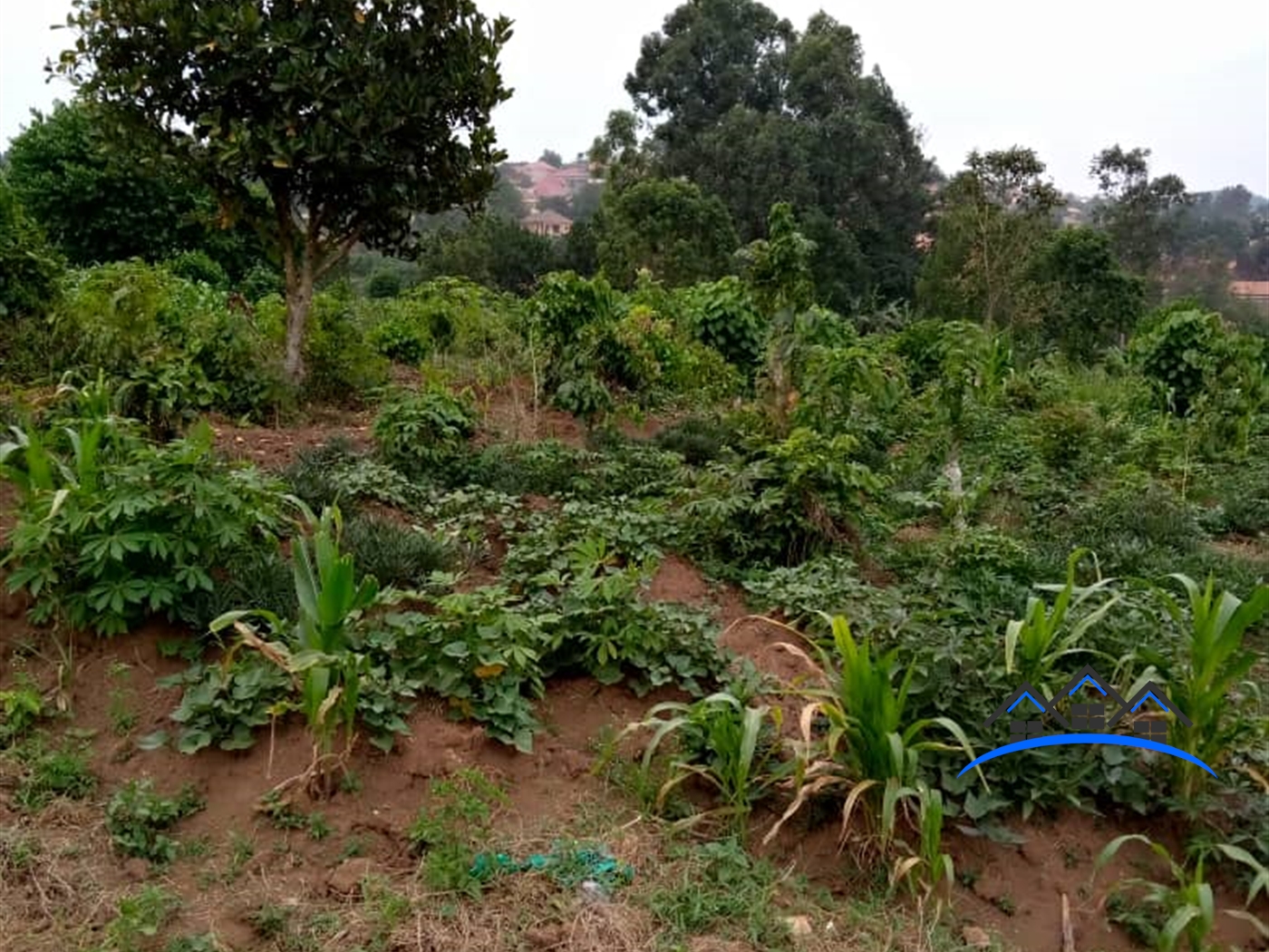 Residential Land for sale in Wakisotowncenter Wakiso