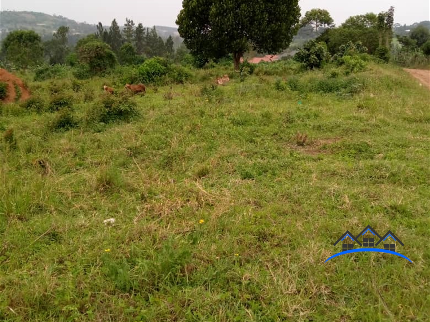 Residential Land for sale in Wakisotowncenter Wakiso