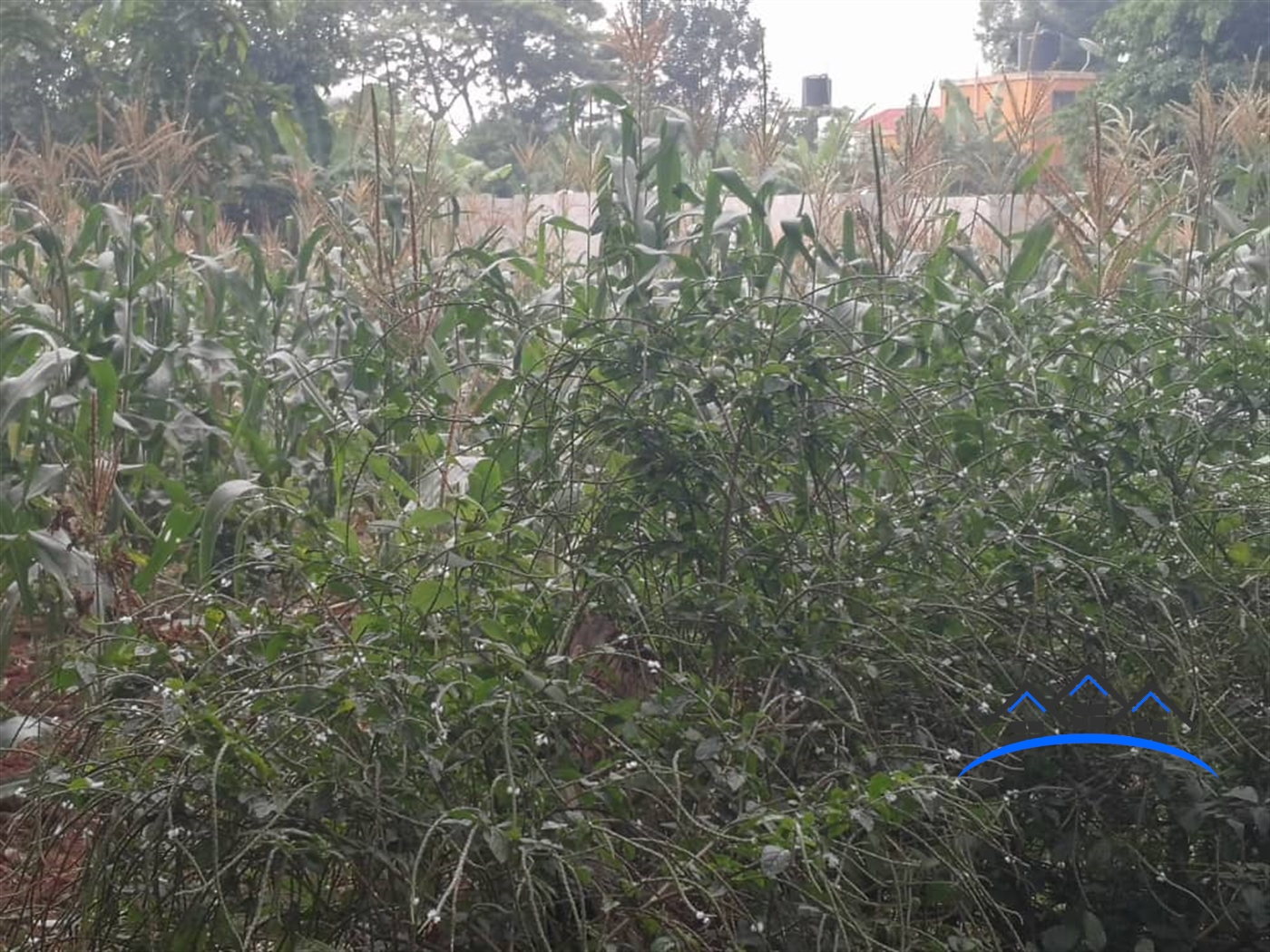 Residential Land for sale in Bbunga Kampala