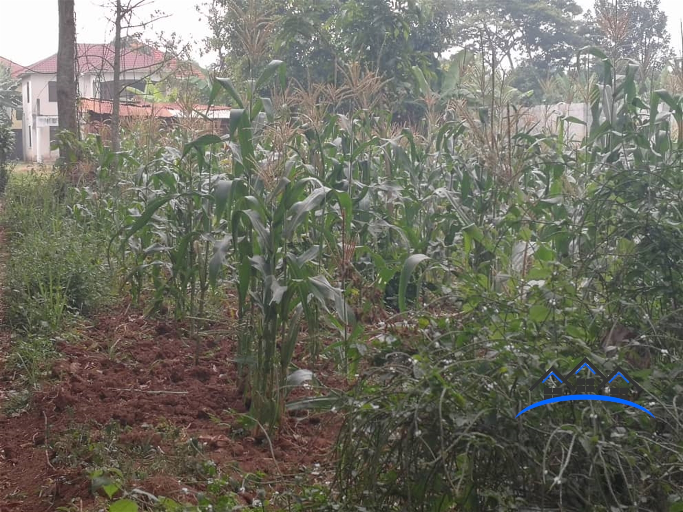 Residential Land for sale in Bbunga Kampala