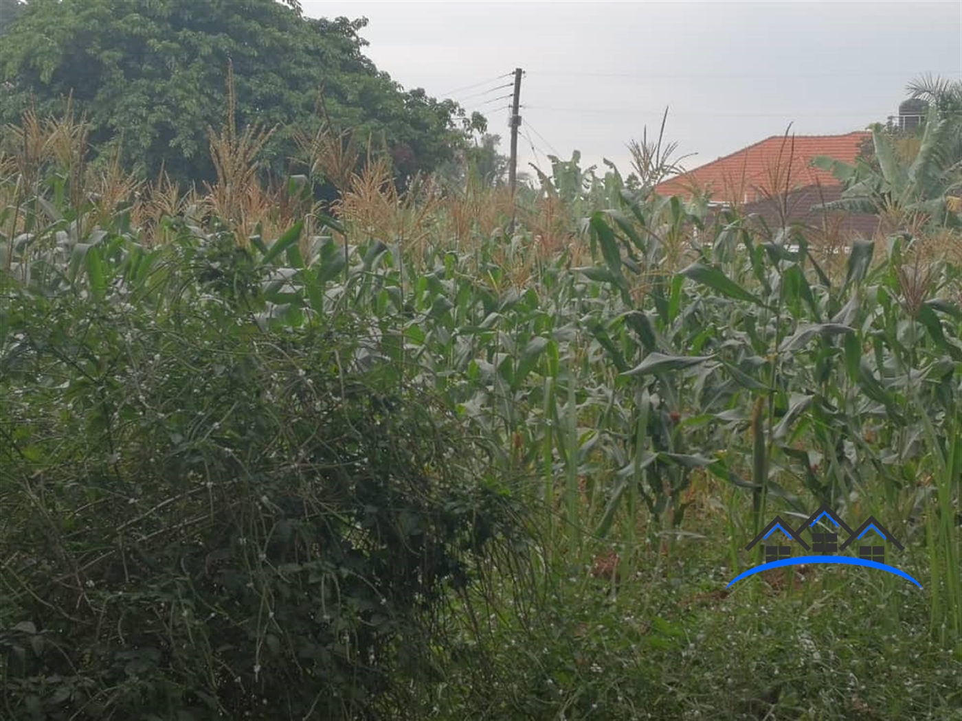 Residential Land for sale in Bbunga Kampala