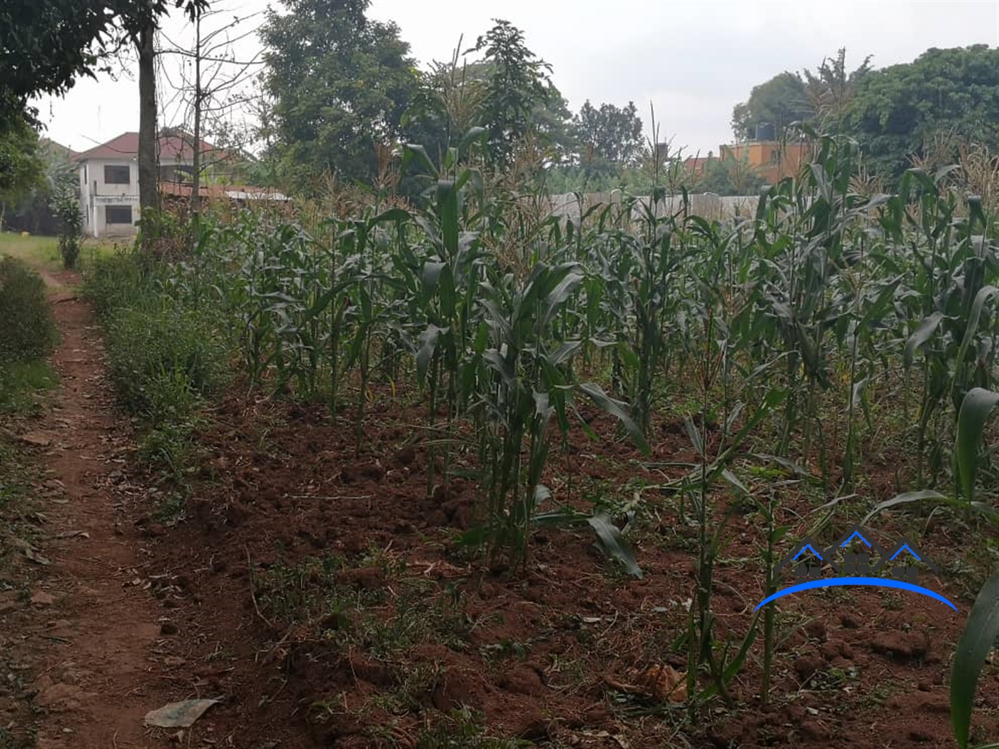 Residential Land for sale in Bbunga Kampala