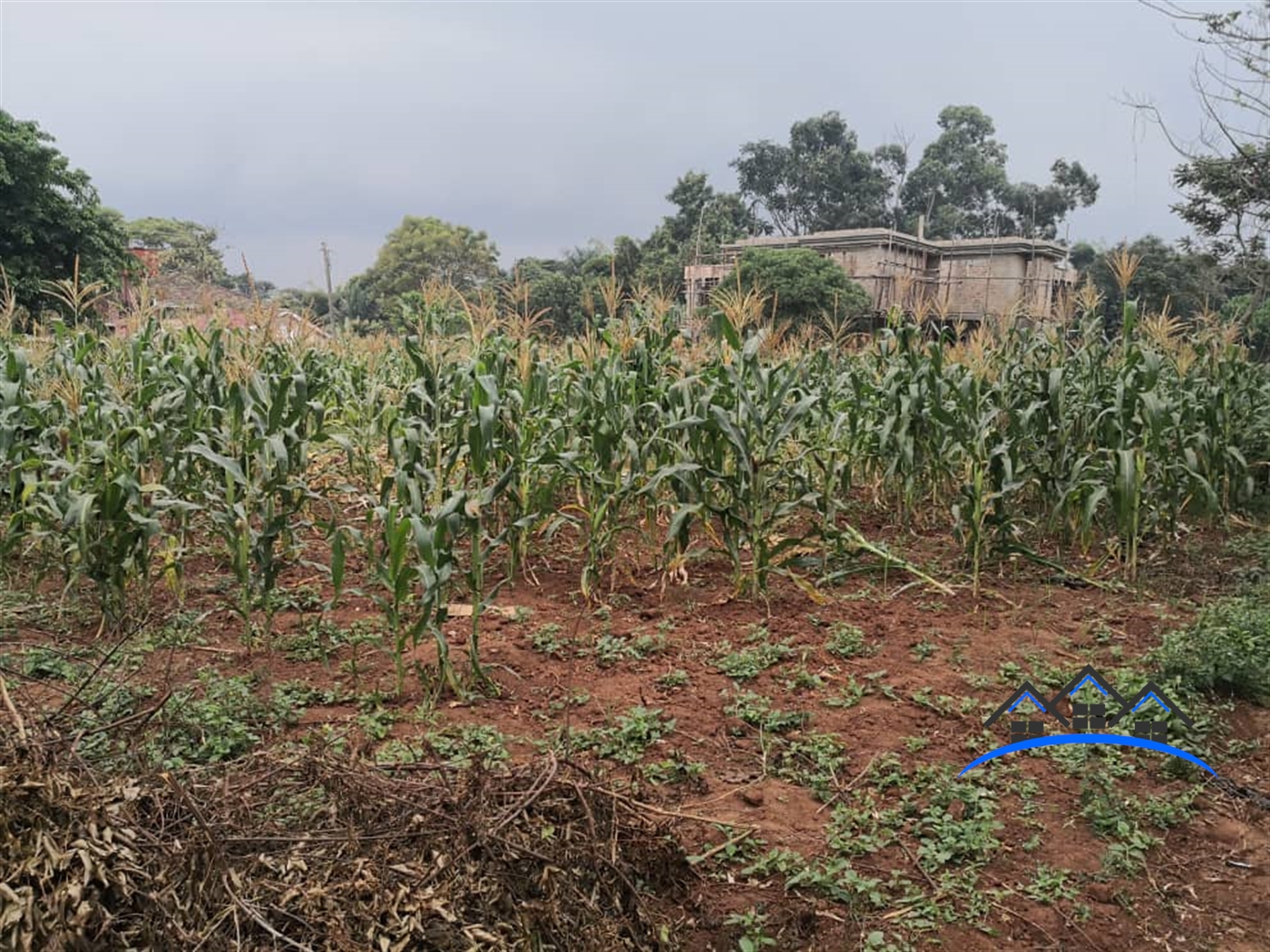 Residential Land for sale in Bbunga Kampala