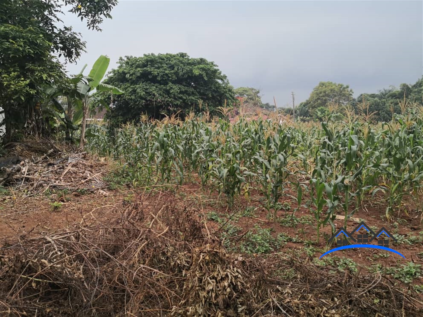 Residential Land for sale in Bbunga Kampala