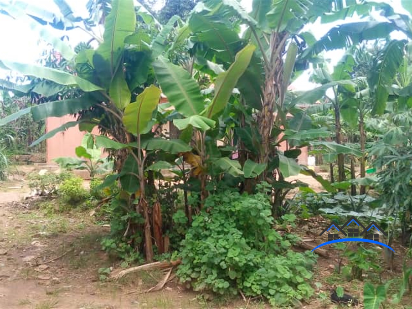 Bungalow for sale in Namboole Wakiso