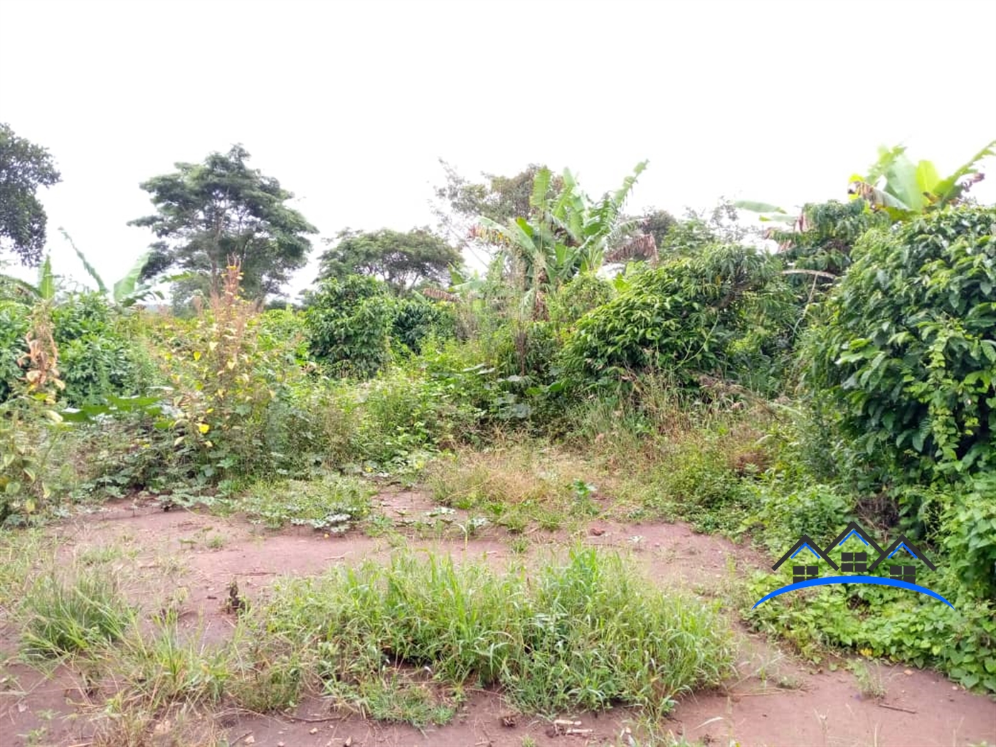 Agricultural Land for sale in Kasanbye Nakaseke