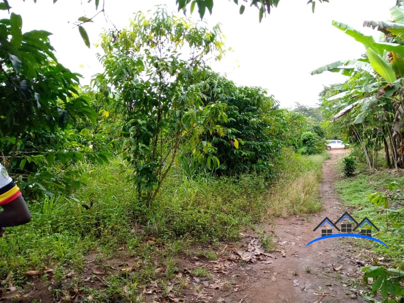 Agricultural Land for sale in Kasanbye Nakaseke