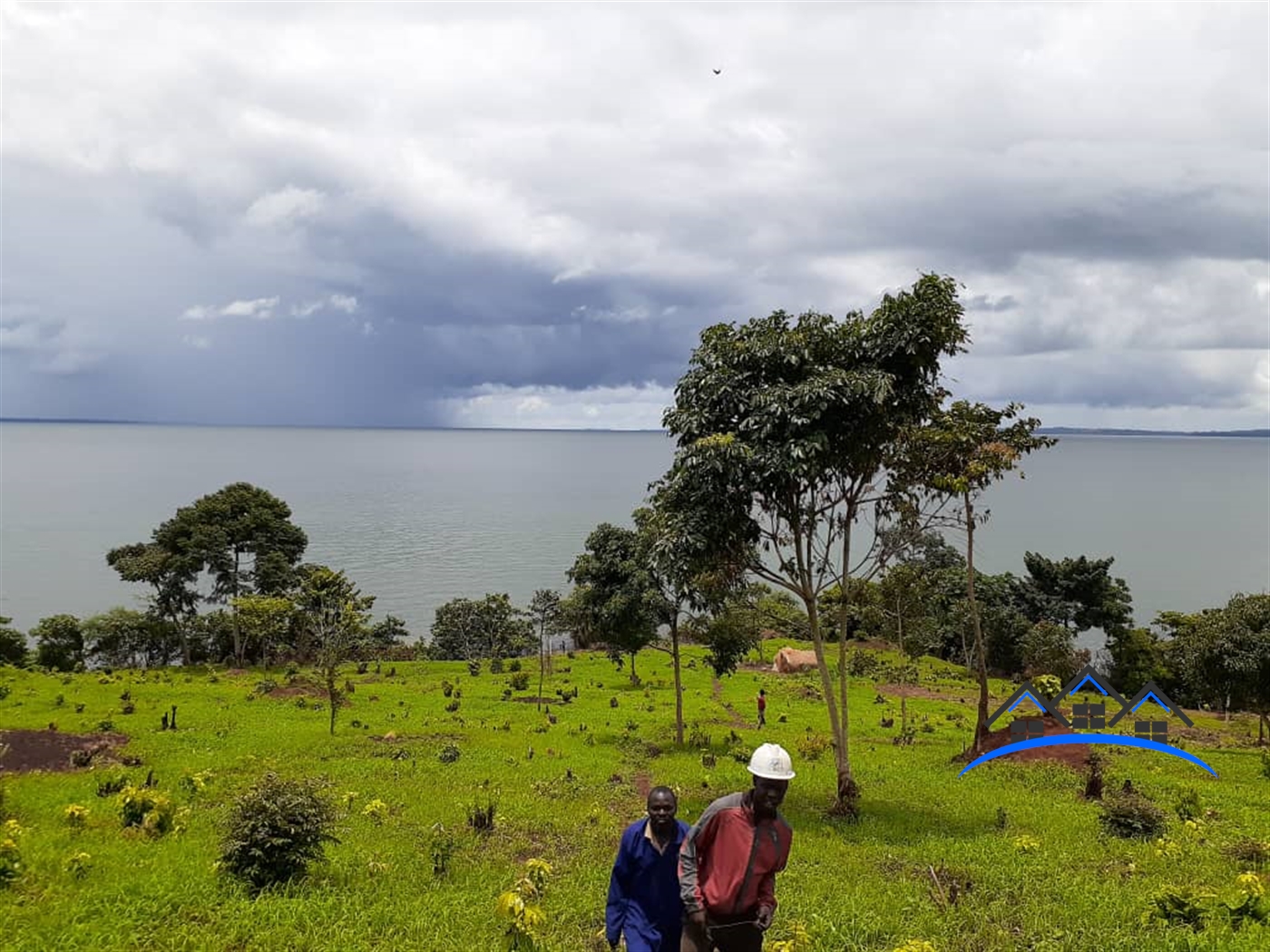 Agricultural Land for sale in Buyikwe Mukono