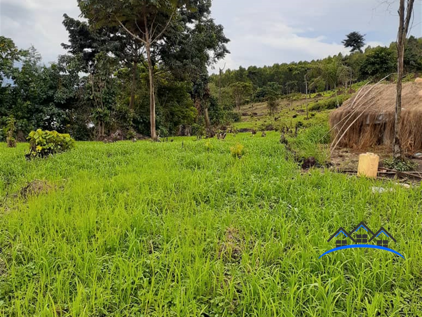 Agricultural Land for sale in Buyikwe Mukono