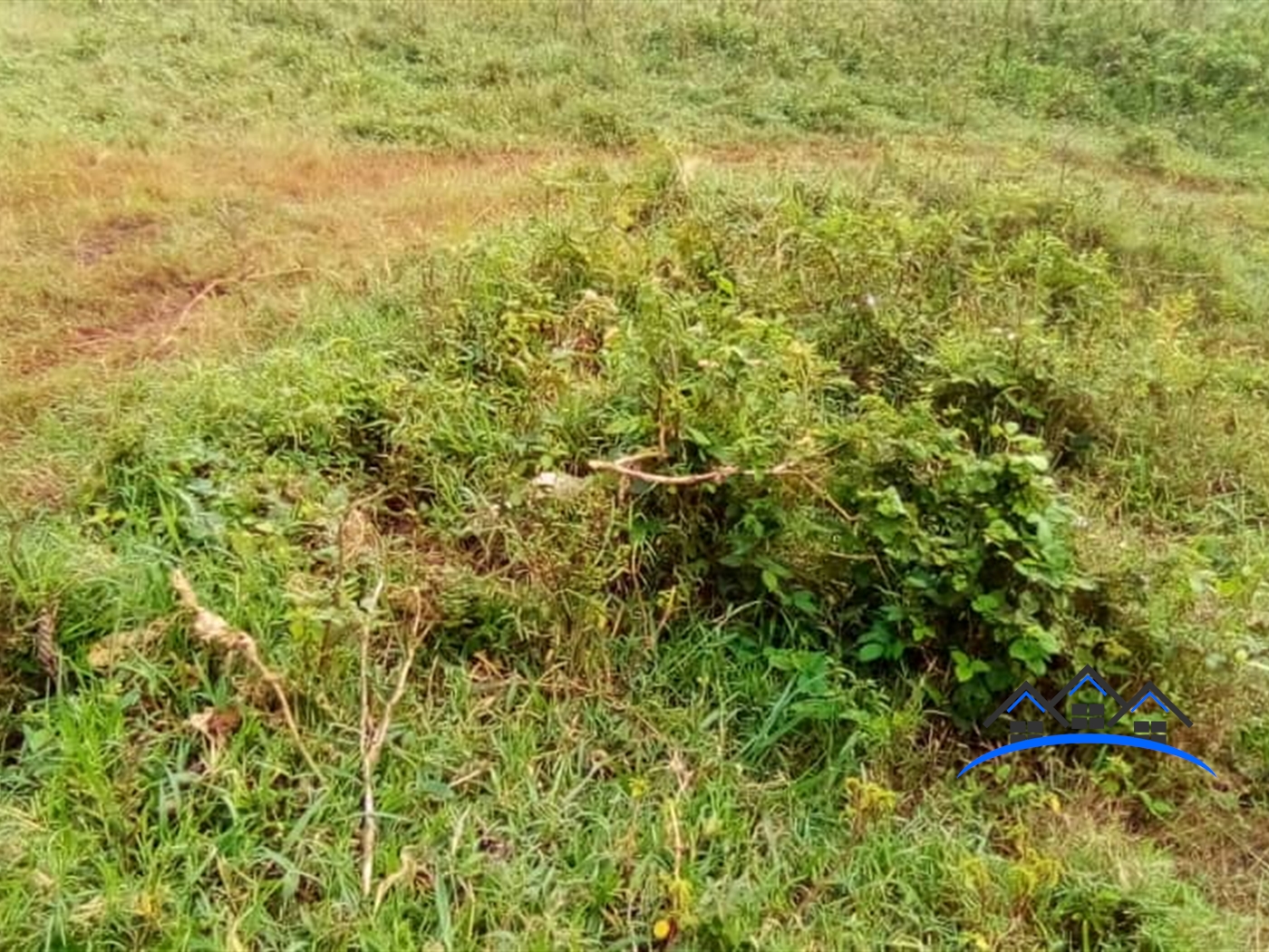 Residential Land for sale in Bukeelele Mukono