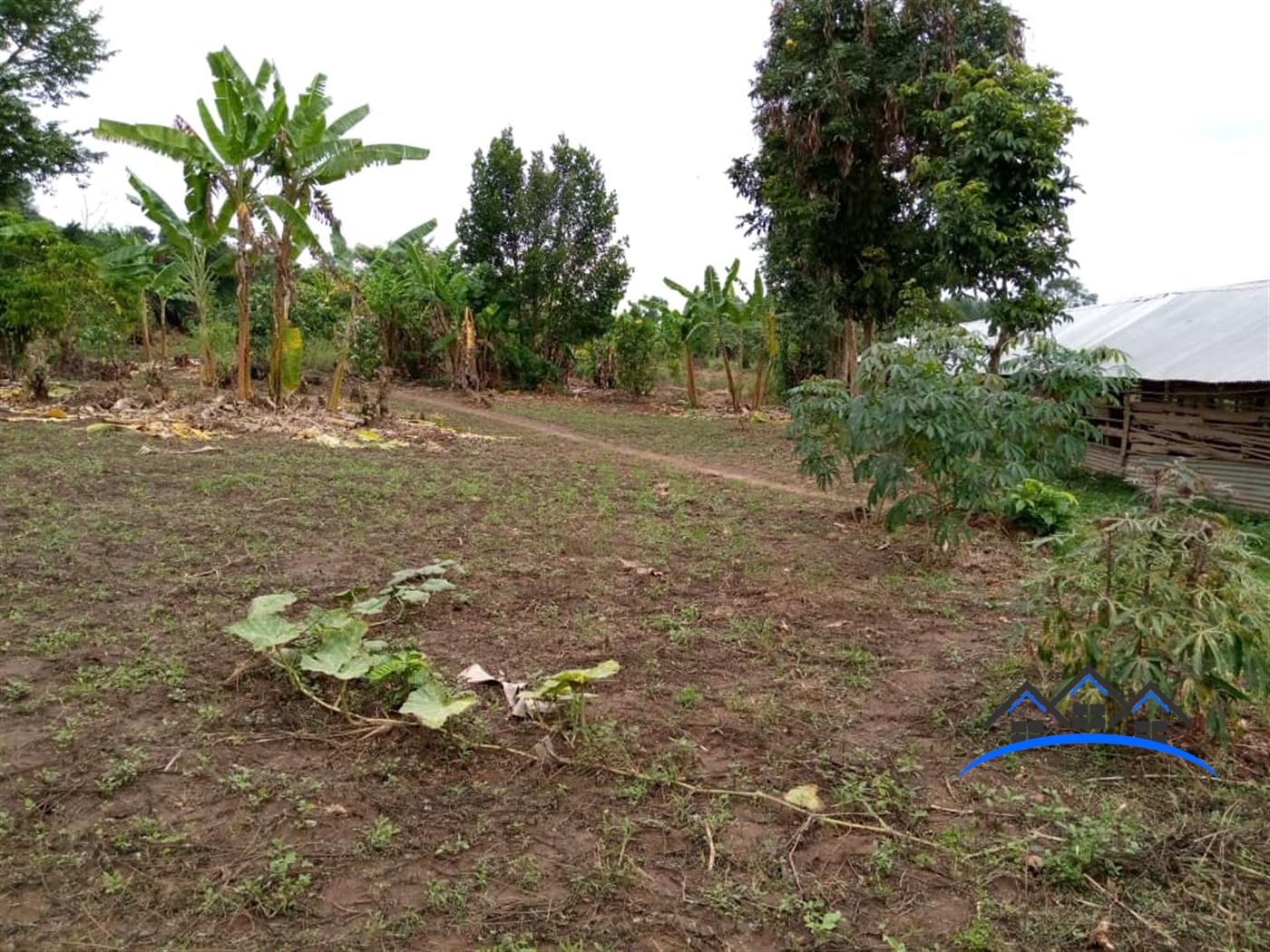 Residential Land for sale in Bujuuko Mpigi