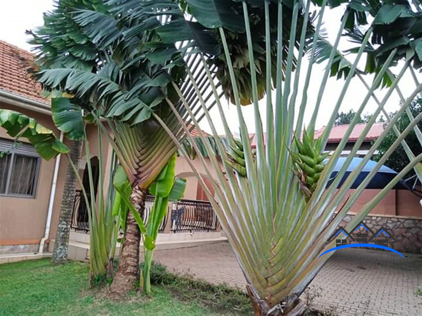 Bungalow for sale in Kyaliwajjala Wakiso