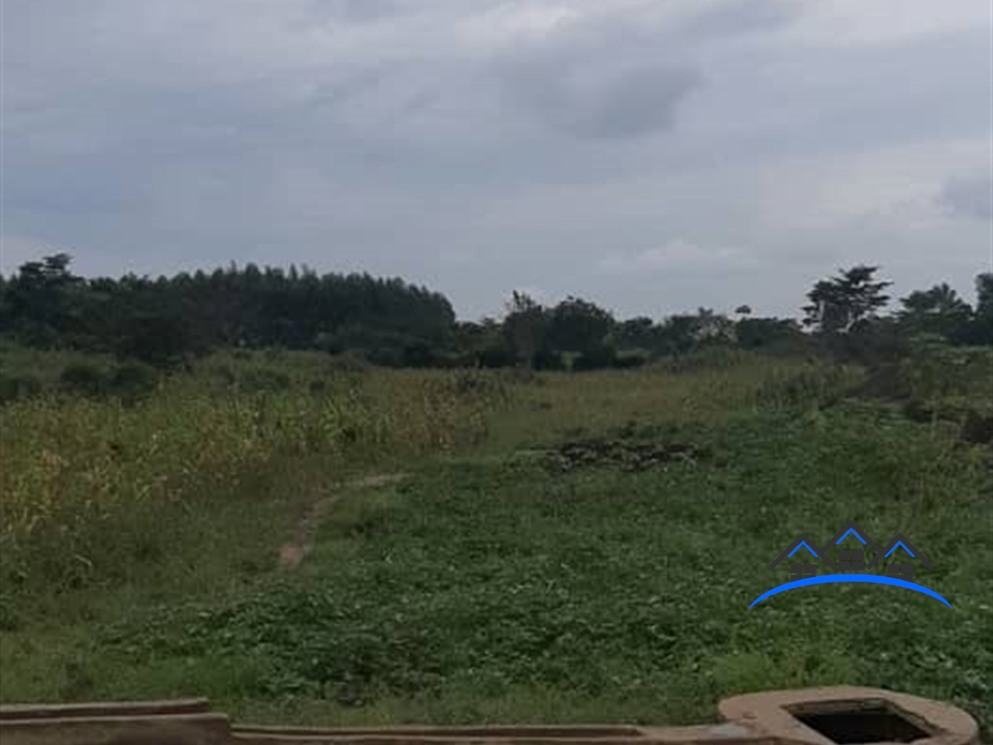 Agricultural Land for sale in Kiwoko Luweero