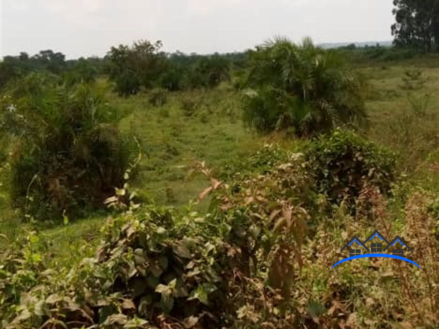 Agricultural Land for sale in Kabulamulilo Nakaseke